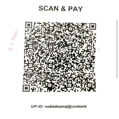 pay pay